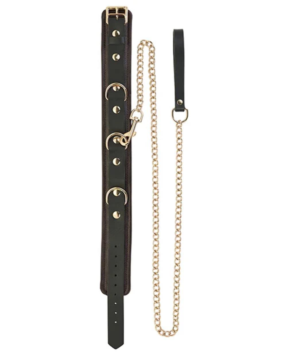 Premium Brown Leather Spartacus Dog Collar & Leash Set with Gold Accent Hardware - Durable Pet Accessories for Walking, Training & Outdoor Adventures