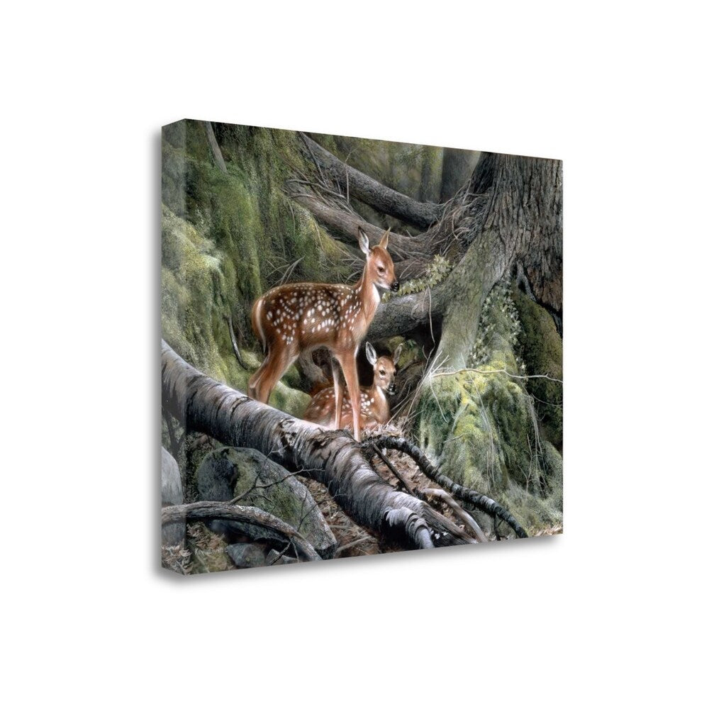 Awakening By Kevin Daniel - Premium Fine Art Giclee Print on Gallery Wrap Canvas, Ready to Hang Wall Decor - Perfect for Living Room, Bedroom & Office Artwork