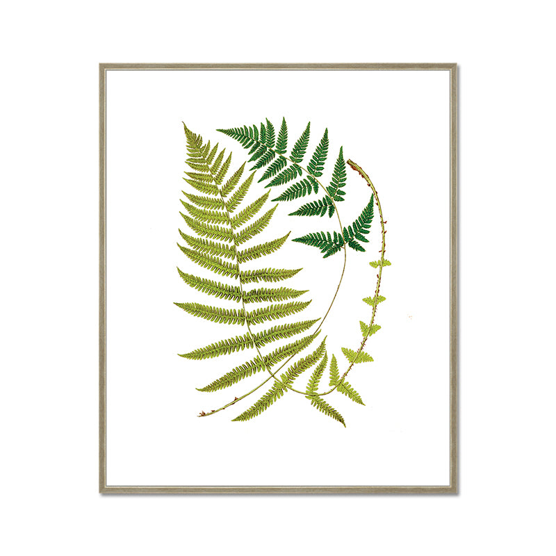 Green Leaves Canvas Print - Modern Plant Art with Floater Frame - Perfect for Living Room, Bedroom & Office Wall Decor