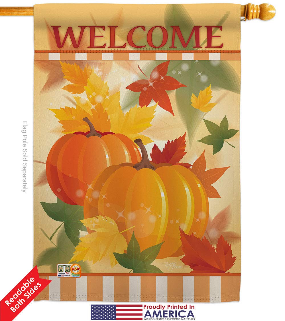 Fall Pumpkin Sublimation Flag 28x40