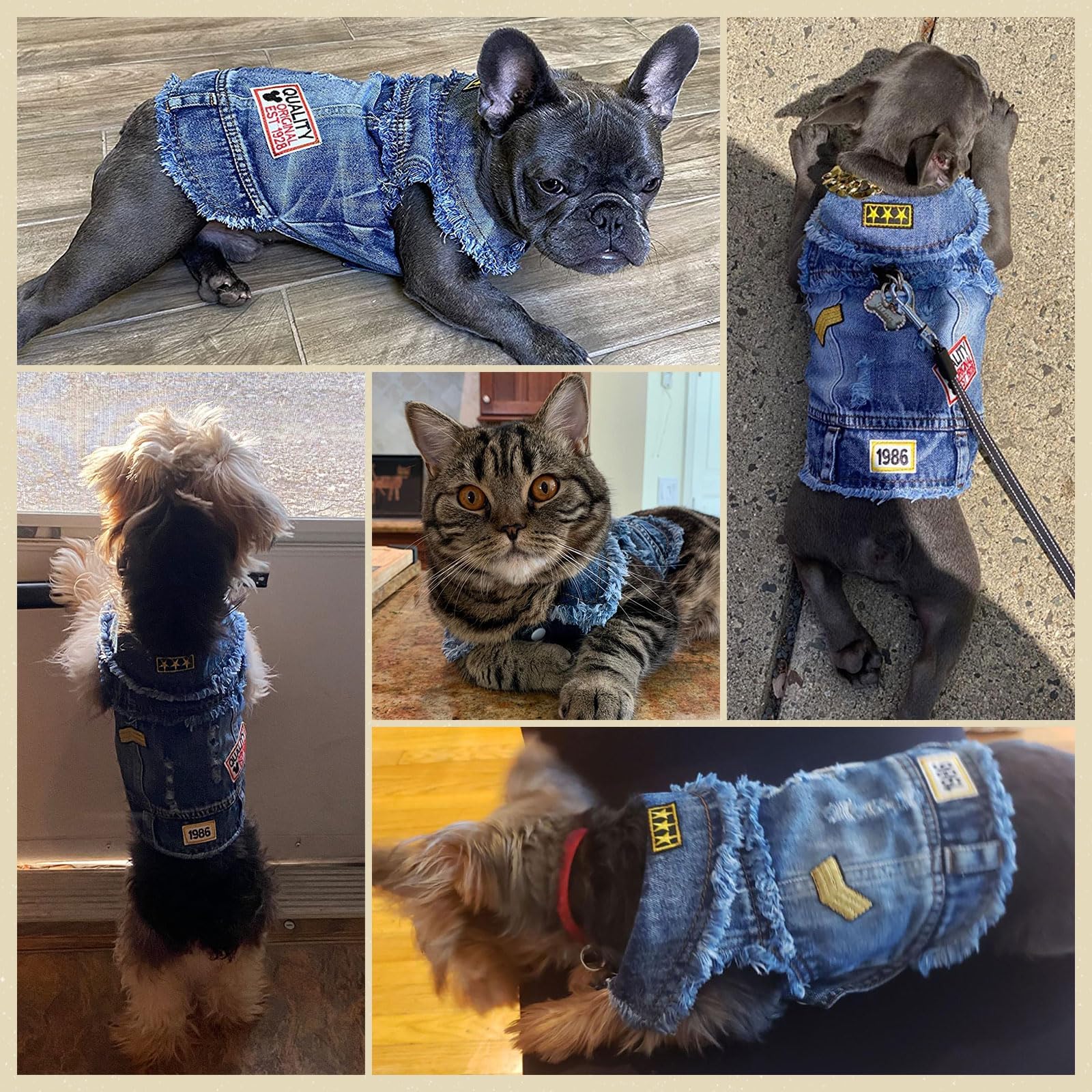 Stylish Blue Denim Dog Jacket for Small & Medium Dogs - Pet Clothes for Shih Tzu, Chihuahua, Yorkie & Teacup Breeds - Puppy Vest for Boys & Girls - Perfect for Outdoor Walks, Pet Parties & Photo Shoots