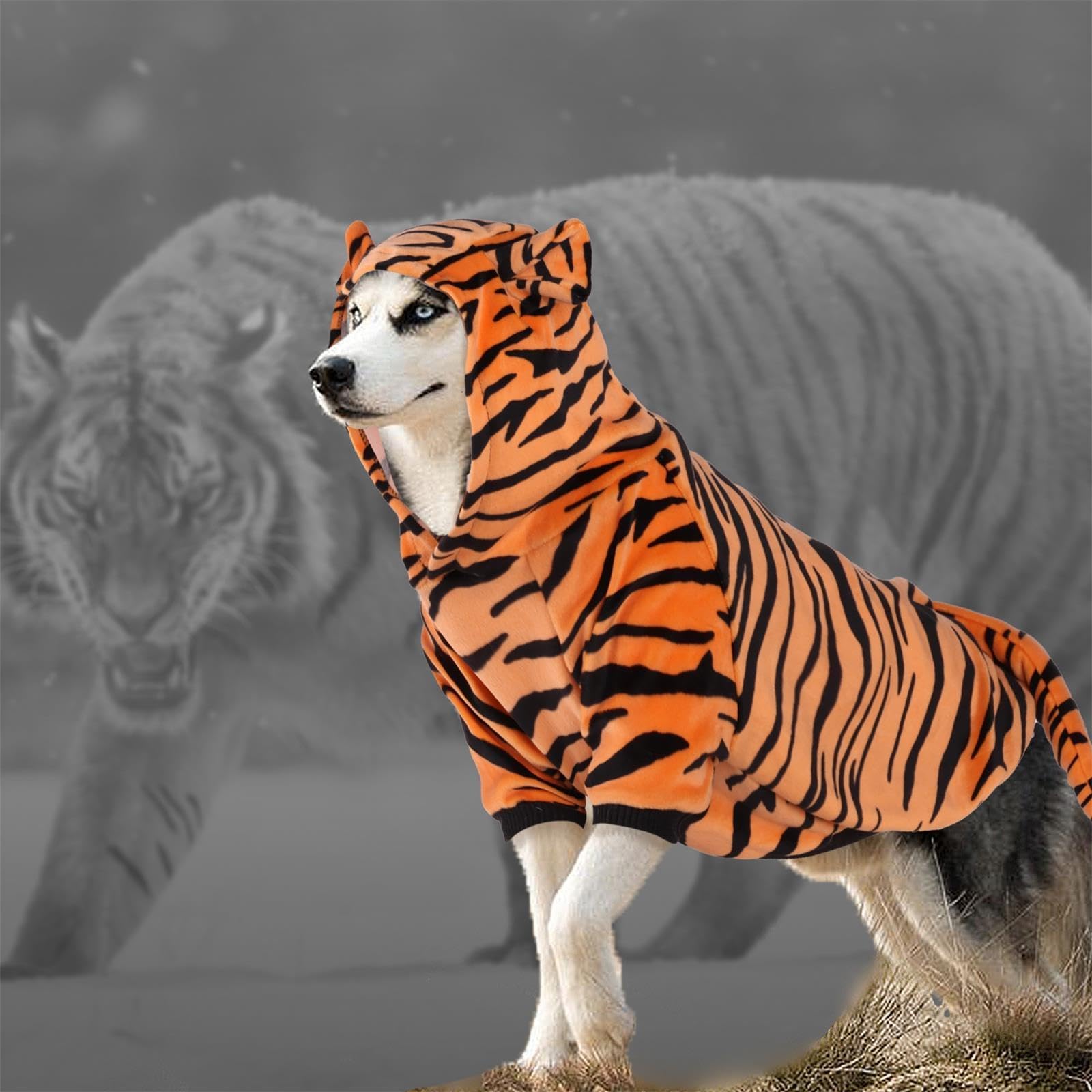 DELIFUR Dog Tiger Costume - Funny Hooded Halloween & Cosplay Outfit for Small Medium Dogs | Pet Costume for Special Events, Parties & Photo Props (Yellow, Small) | Perfect for Halloween, Christmas Dress-Up & Pet Photography