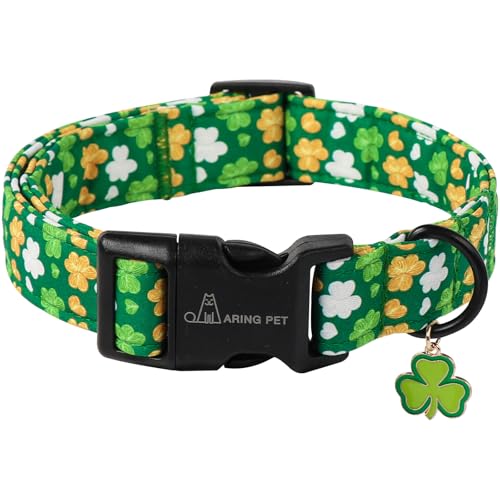 St Patrick's clover