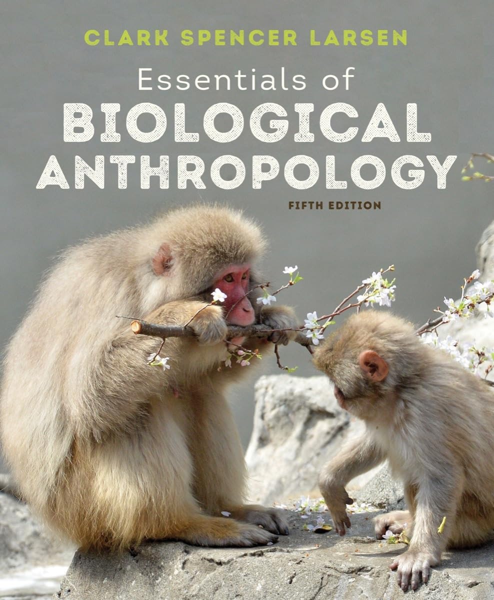 Essentials of Biological Anthropology Textbook - Human Evolution, Primatology & Genetics Study Guide for College Students | Perfect for Anthropology Courses, Research & Self-Study