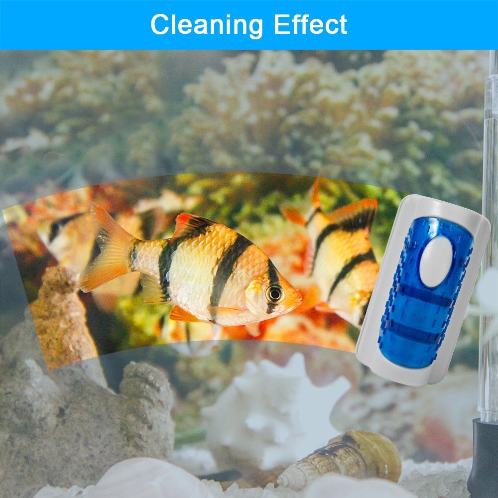 Premium Magnetic Aquarium Cleaner - Large Fish Tank Glass Scraper & Algae Remover Brush (2-Pack) - 1 Year Warranty - Ideal for Freshwater & Saltwater Tanks, Home or Office Aquariums