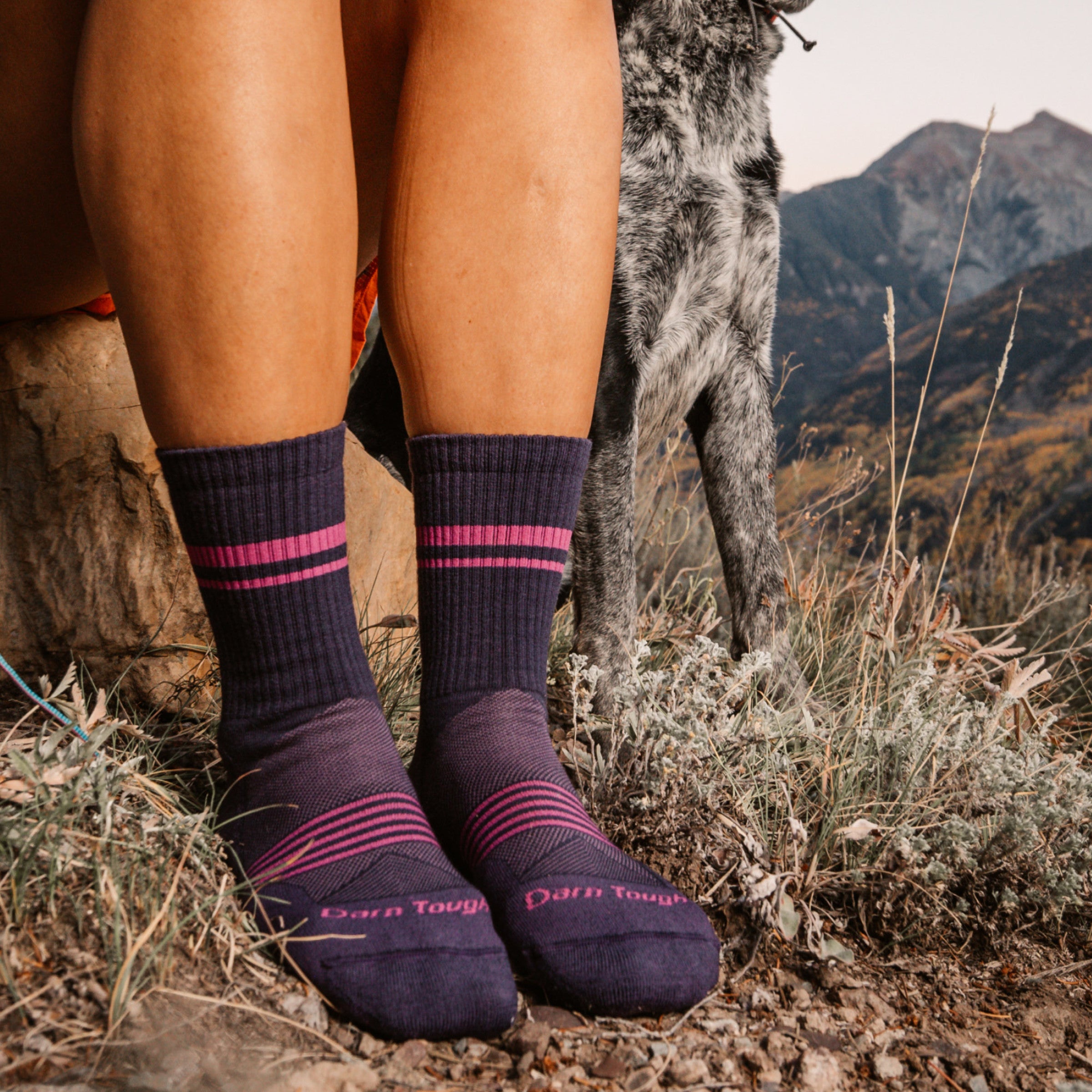 Women's Element Micro Crew Lightweight Running Socks - Breathable & Cushioned Athletic Socks for Jogging, Gym Workouts & Everyday Comfort