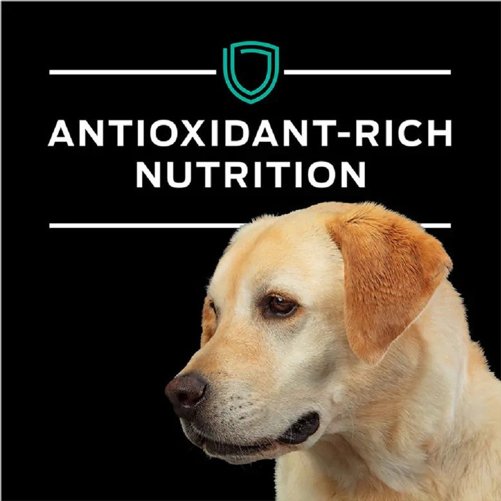 Pro Plan Veterinary Diets EN Gastroenteric Natural Dry Dog Food for Sensitive Stomach - Digestive Care & Nutrition for Dogs with Gastrointestinal Issues | Perfect for Adult Dogs with Food Sensitivities