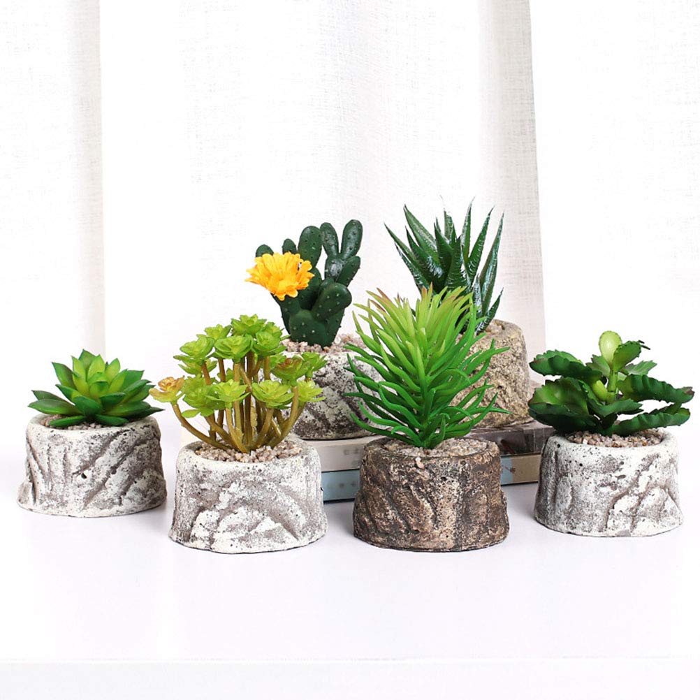 VICASKY Decorative Succulent Plant Pots - Ceramic Flower Pots for Cactus, Aloe Vera, Small Plants - Perfect for Home, Office, Garden Decor and Gift Ideas