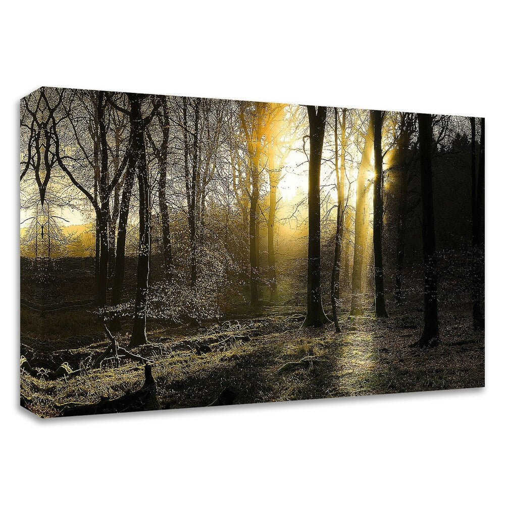 Autumn Lights by Adelino Gonçalves - Premium Canvas Wall Art Print, Ready to Hang - Perfect for Living Room, Bedroom & Office Decor