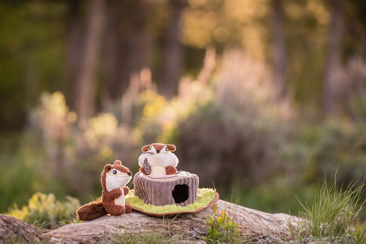 P.L.A.Y. Forest Friends Squeaky Plush Dog Toys - Chippy and Cheeks the Chipmunks | Interactive Soft Chew Toys for Small & Large Dogs | Perfect for Indoor Play, Training & Cuddling