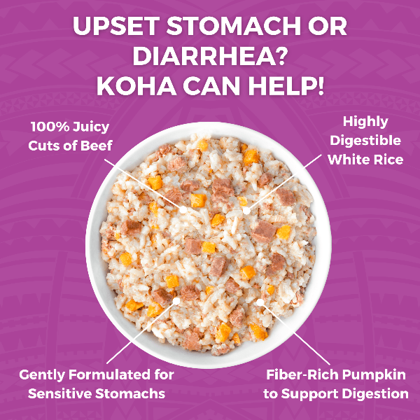 KOHA Limited Ingredient Dog Food - Grain Free Beef & White Rice Recipe for Sensitive Stomachs - Perfect for Dogs with Allergies or Digestive Issues - Dry Kibble for Adult & Senior Dogs - Great for Meal Toppers or Mixers
