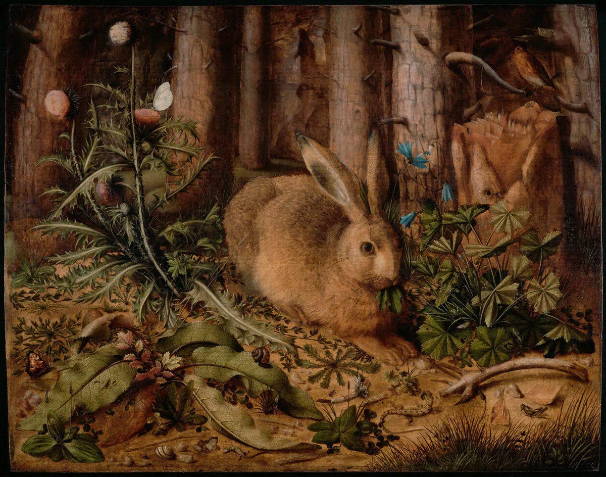 Berkin Arts Hans Hoffmann Giclee Print - Famous Hare in The Forest Painting Reproduction - Fine Art Poster for Wall Decor | Perfect for Living Room, Bedroom & Office Aesthetics