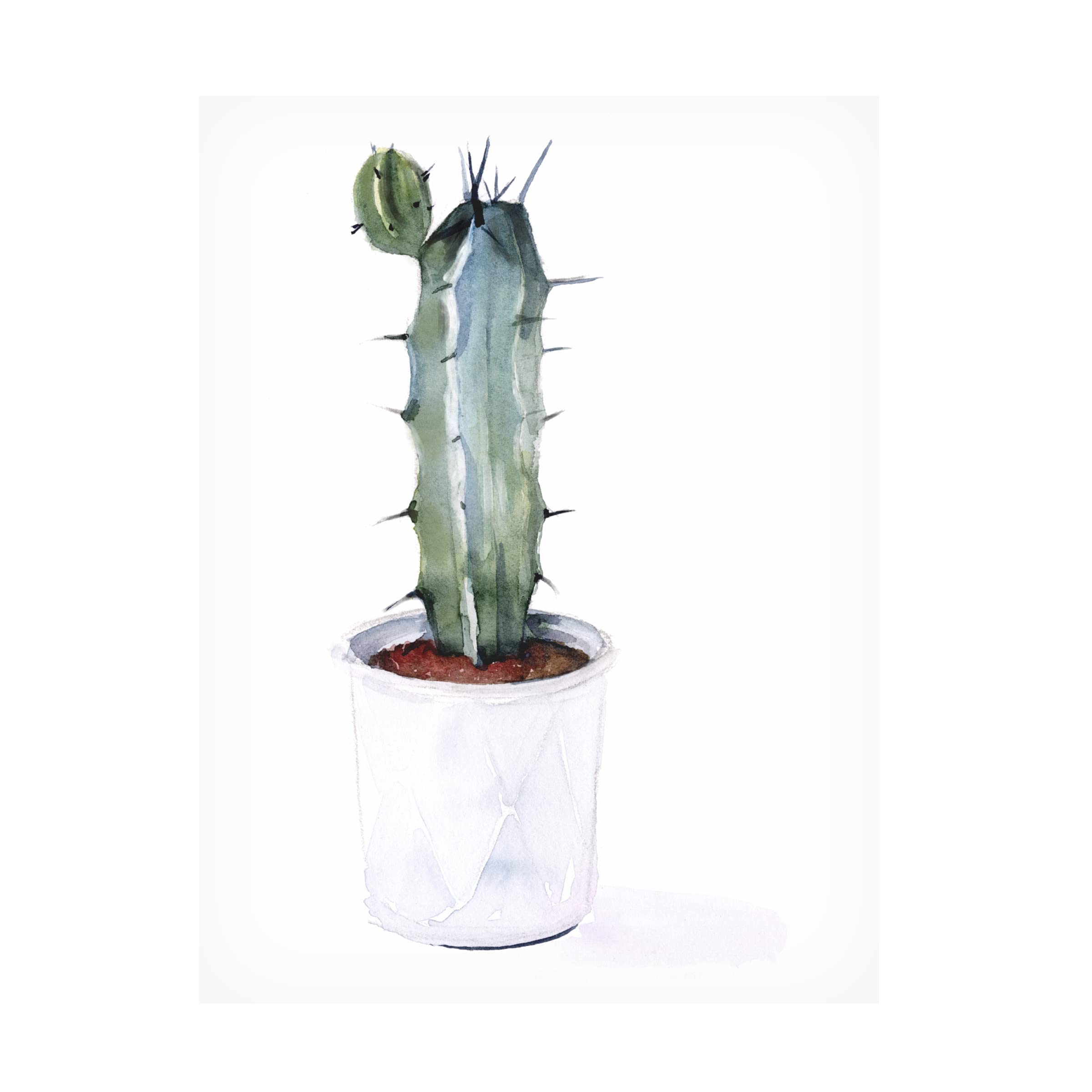 Sharp Succulents I Canvas Wall Art by Jennifer Paxton Parker - Modern Botanical Home Decor for Living Room, Bedroom & Office