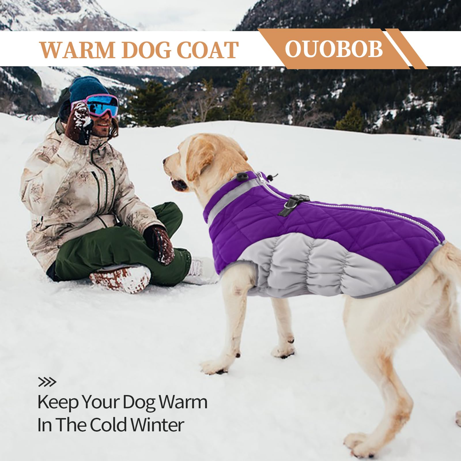 Warm Fleece Dog Winter Coat for Large Dogs - XL Waterproof Snow Jacket with D-Ring & Back Zipper | Beagle, Corgi, Border Collie | Purple Winter Dog Clothes for Cold Weather & Outdoor Adventures