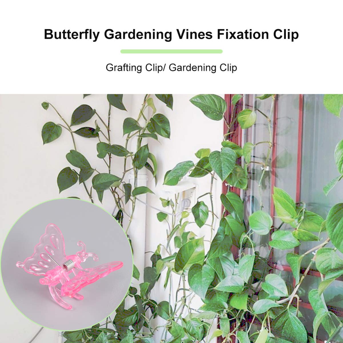 DOITOOL 30pcs Ladybug Shaped Garden Flower Clips - Plant Grafting Clamps, Vine Support Rings & Trellis Clips for Orchid Bonsai, Stem Support - Perfect for Indoor/Outdoor Gardening, Greenhouse & Plant Training