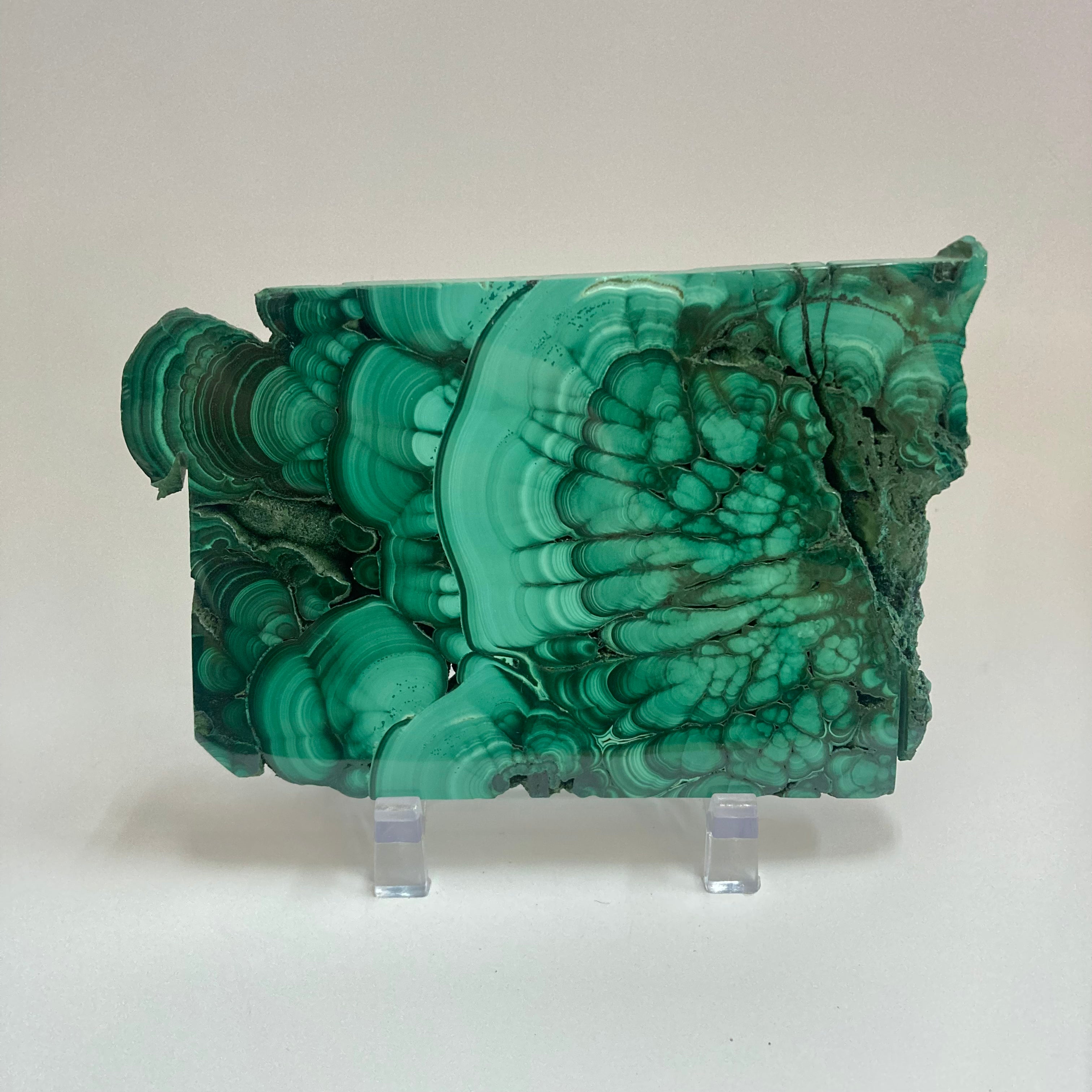 Malachite Lioness Statue - Handcrafted Stone Carving for Home Decor, Office Feng Shui & Spiritual Healing | Perfect Gift for Collectors & Crystal Lovers