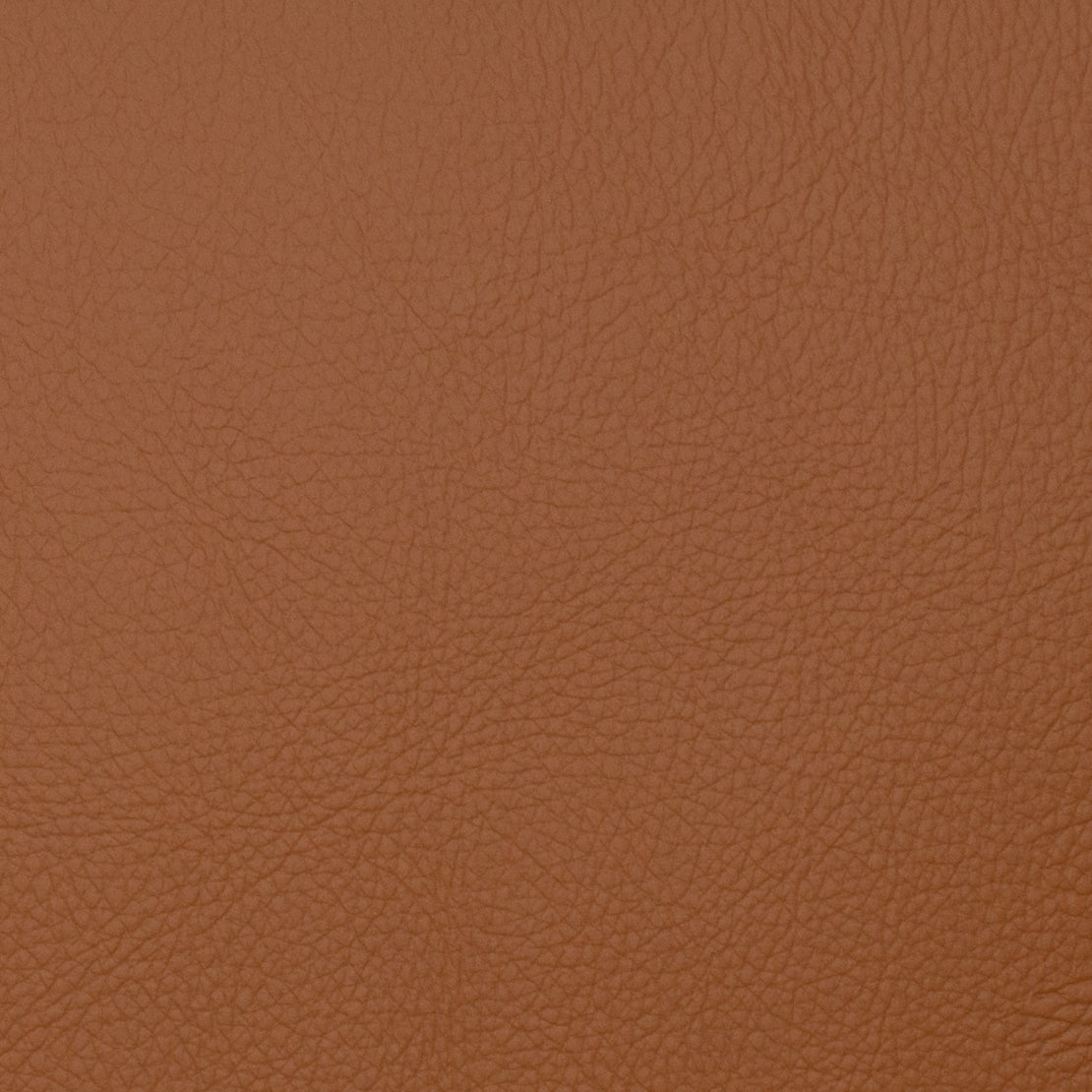 Voyager Maple & Orange Mag Fabric - Premium Quality Outdoor Adventure Gear for Hiking, Camping & Travel Accessories