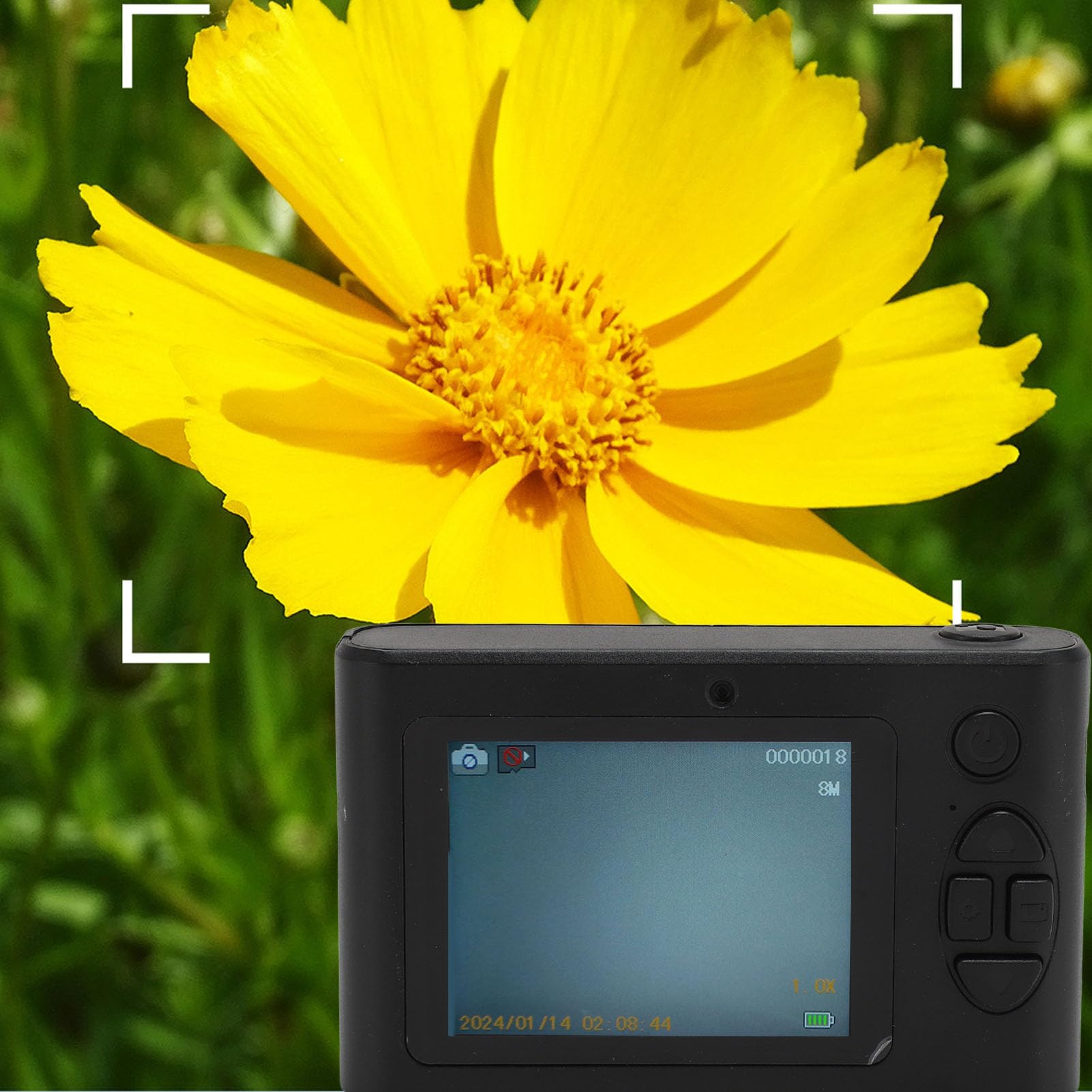 1080P HD Digital Camera with 16X Zoom & Autofocus | 2.4