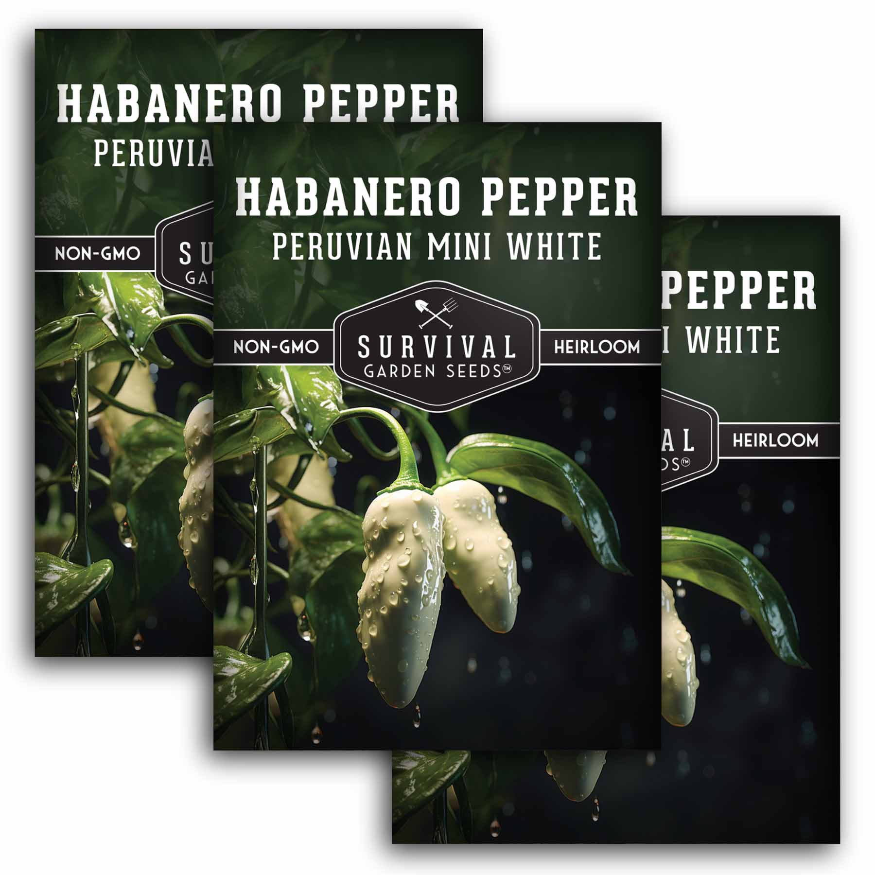 Organic Mini White Habanero Seeds - Peruvian White Chile Pepper Seeds for Planting - Hot Pepper Seeds for Home Garden, Cooking & Spicy Recipes