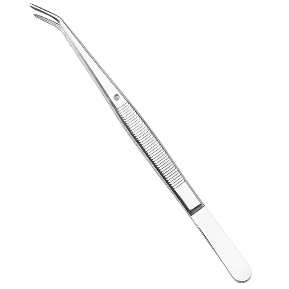 Premium Stainless Steel Dental Tweezers with Curved Serrated Tip - Multipurpose Dental Forceps for Oral Care, Denture Cleaning & Tooth Extraction - Perfect for Home Use, Dentists, and First Aid Kits