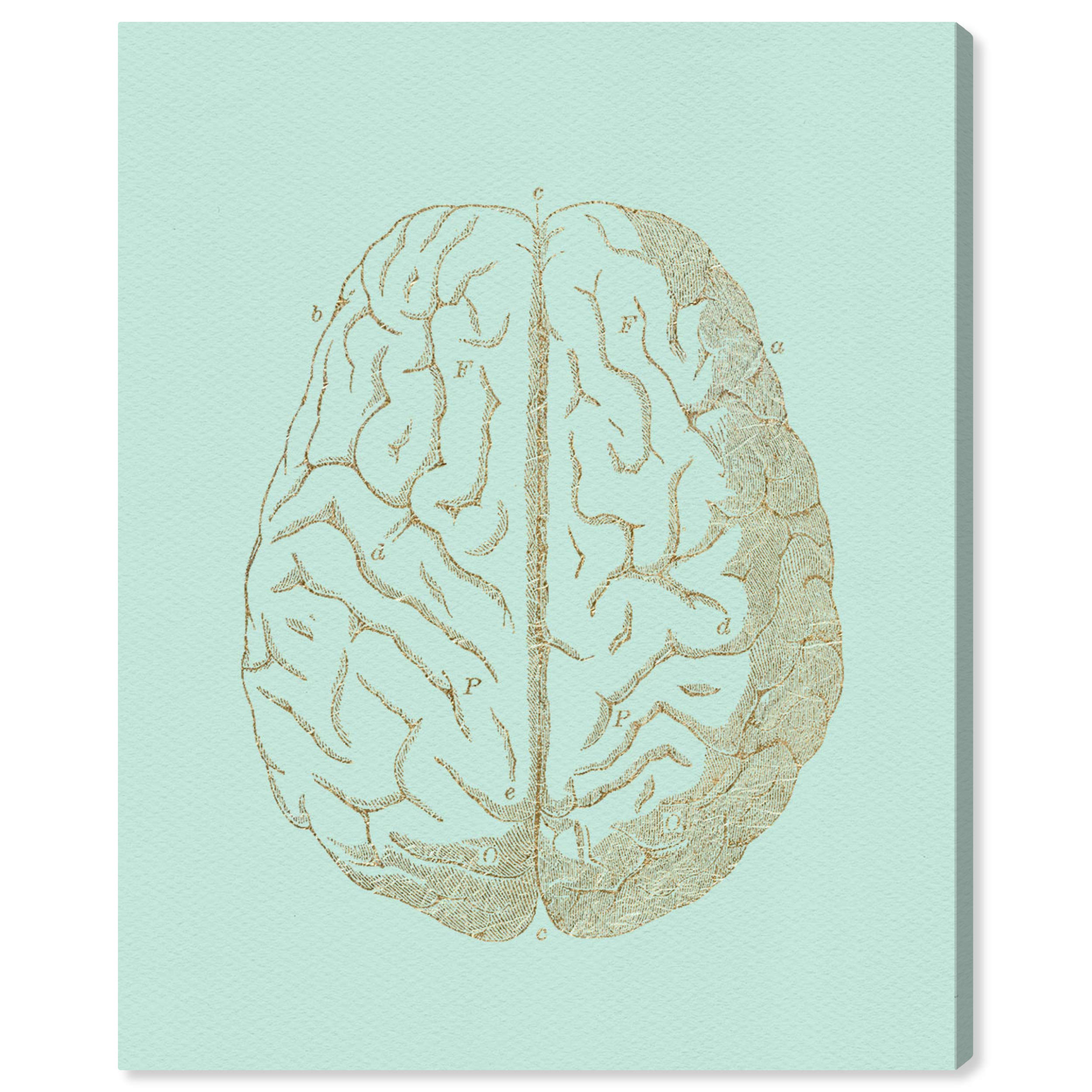 Oliver Gal Artist Co. 'Intelligence is Sexy' Canvas Wall Art Print - 36x45 Inch Green & Gold Home Decor for Office, Classroom & Library - Motivational Education Artwork