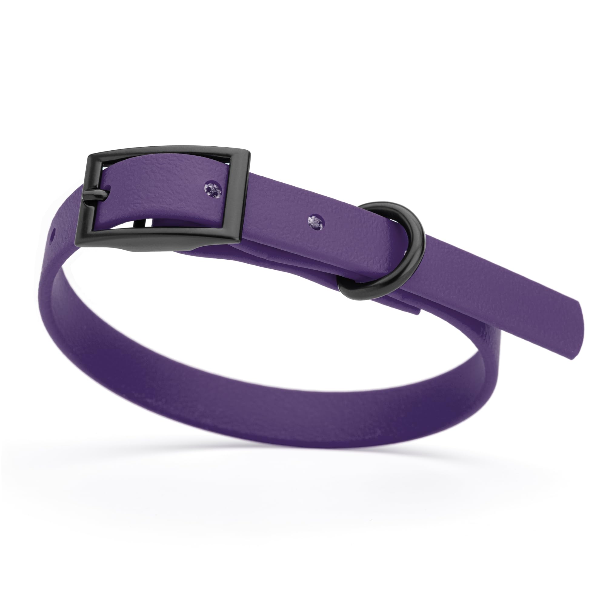 Biothane Waterproof Dog Collar - Durable Coated Nylon Webbing with Black Hardware | Odor-Proof, Easy to Clean & Low Maintenance | Fits Small, Medium & Large Dogs | Violet Purple | Perfect for Outdoor Adventures, Swimming & Daily Walks
