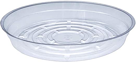 Saucer-clear