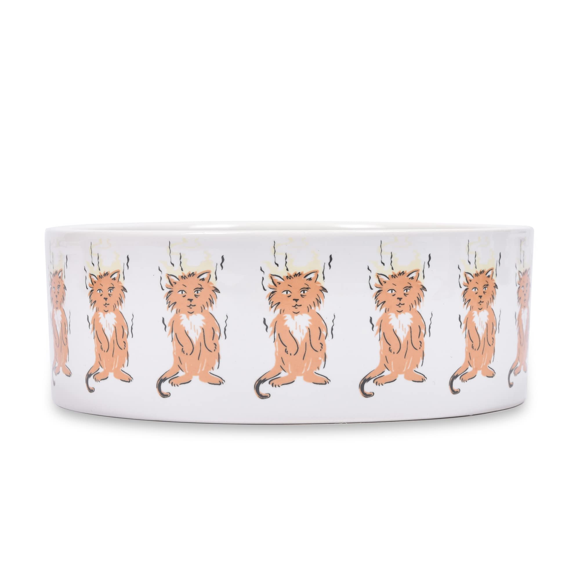 Warner Bros Friends TV Show Ceramic Dog Bowl Set - 2 Styles for Wet & Dry Food - Officially Licensed Friends Merchandise Gift for Dog Lovers - Perfect for Home, Office or Friends-Themed Parties