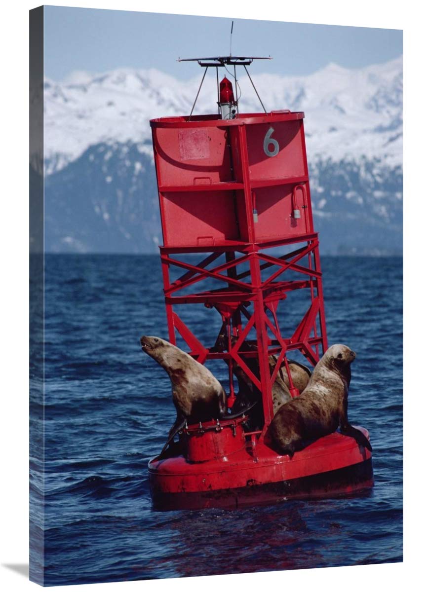 Exxon Valdez Oil Spill Canvas Art - Oil Stained Steller's Sea Lions in Prince William Sound, Alaska - 24x36 Inch Wall Decor for Ocean Conservation Awareness & Coastal Home Decor