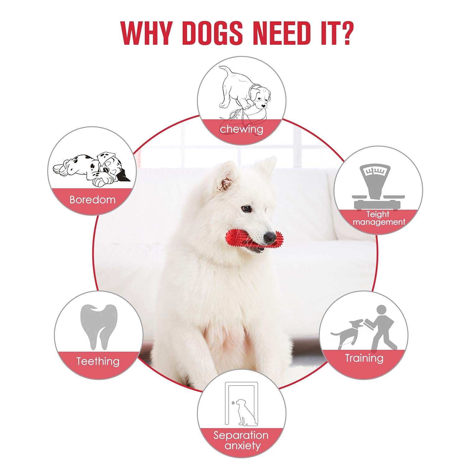 Durable Dog Chew Toys for Aggressive Chewers - Indestructible Rubber Squeaky Toys for Medium & Large Dogs | Toothbrush Design for Teeth Cleaning, Pet Training & Playtime | Perfect for Outdoor Fetch, Indoor Play & Dental Health