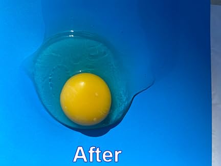 The Egg Tool: Essential Kitchen Tongs for Egg Chalaza Membrane and Shell Fragment Removal, Perfect for Chefs, Bakers, and Food Competitions, Ideal for Precise Egg Preparation in Professional and Home Kitchens