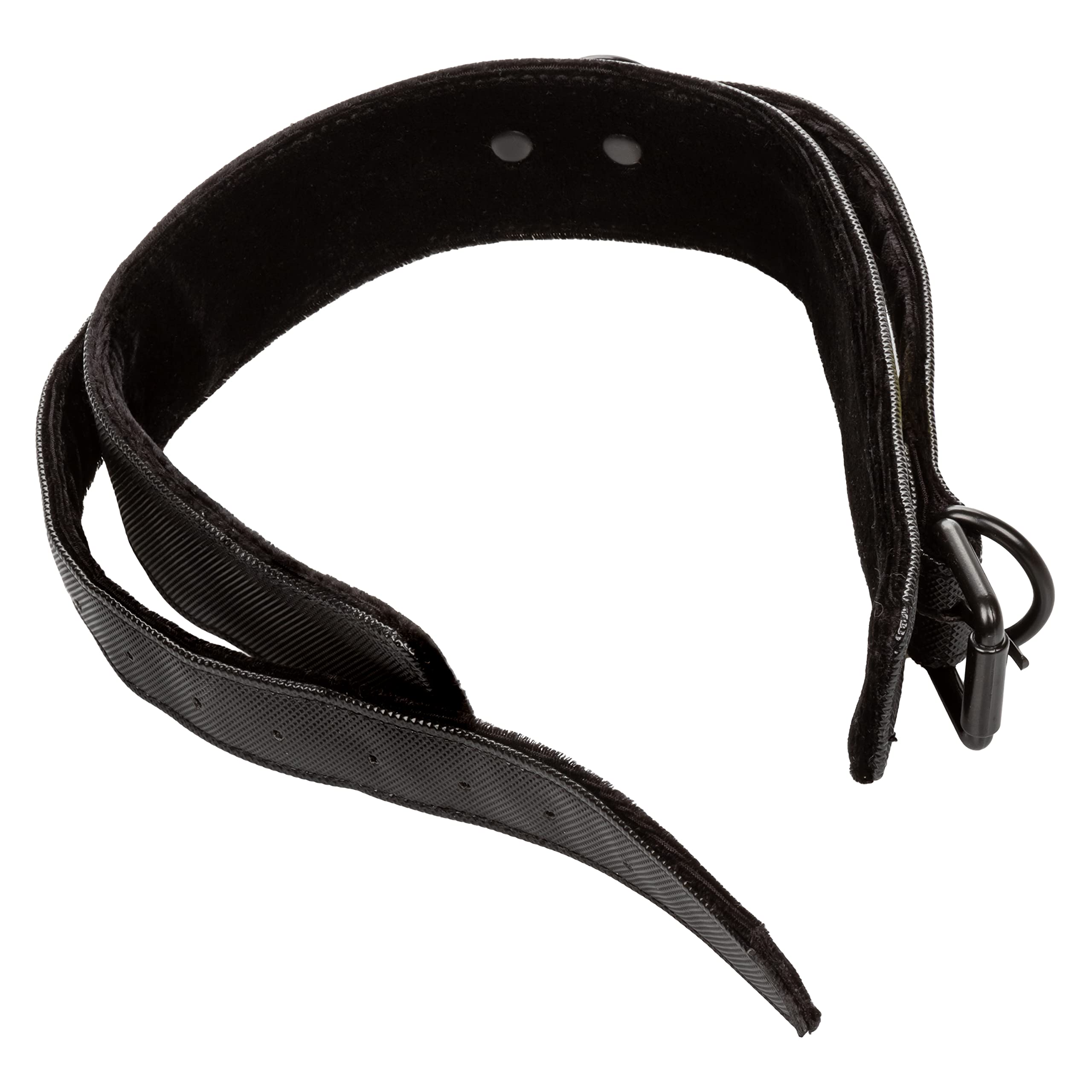 CalExotics Boundless Collar with Leash - Adjustable Pet Necklace for Dogs & Cats - Perfect for Training, Walks & Playtime