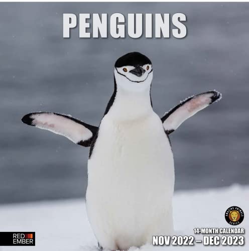 16 - Penguins