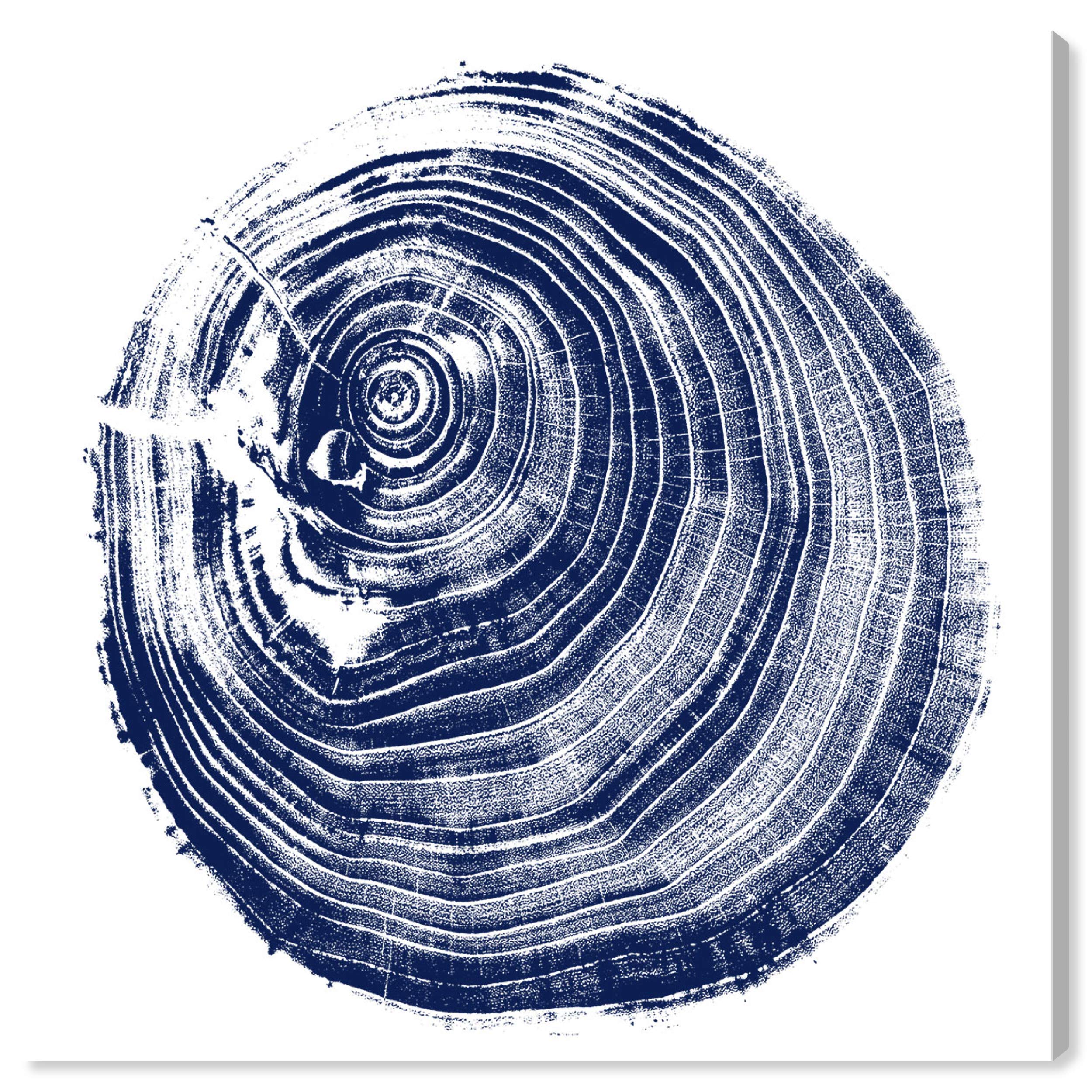 Abstract Wall Art Canvas Prints 'Legno Blu Due' - Blue & White Modern Home Decor Painting 24