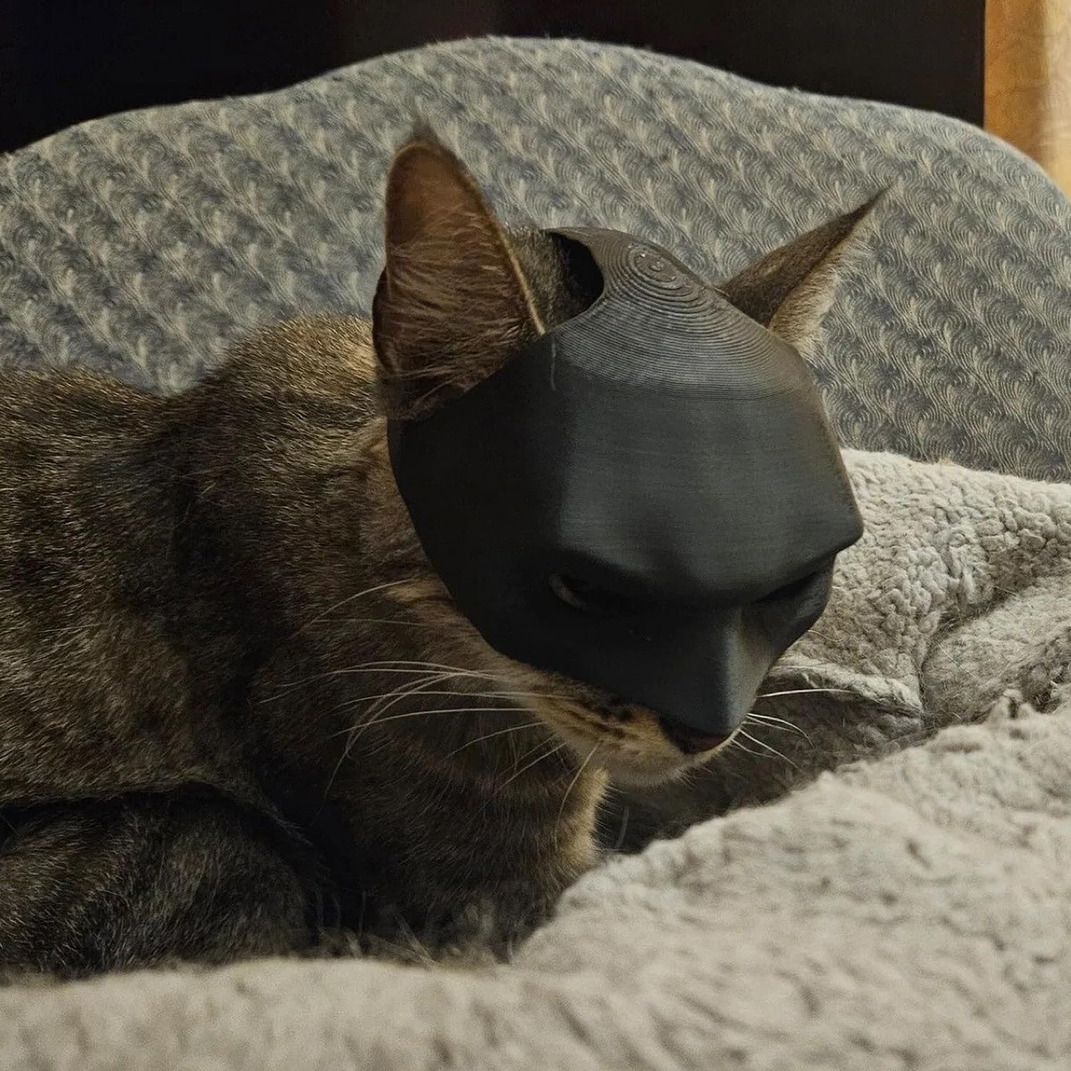 Bat Cat Mask for Cats - Funny Halloween Cosplay Hat for Pets