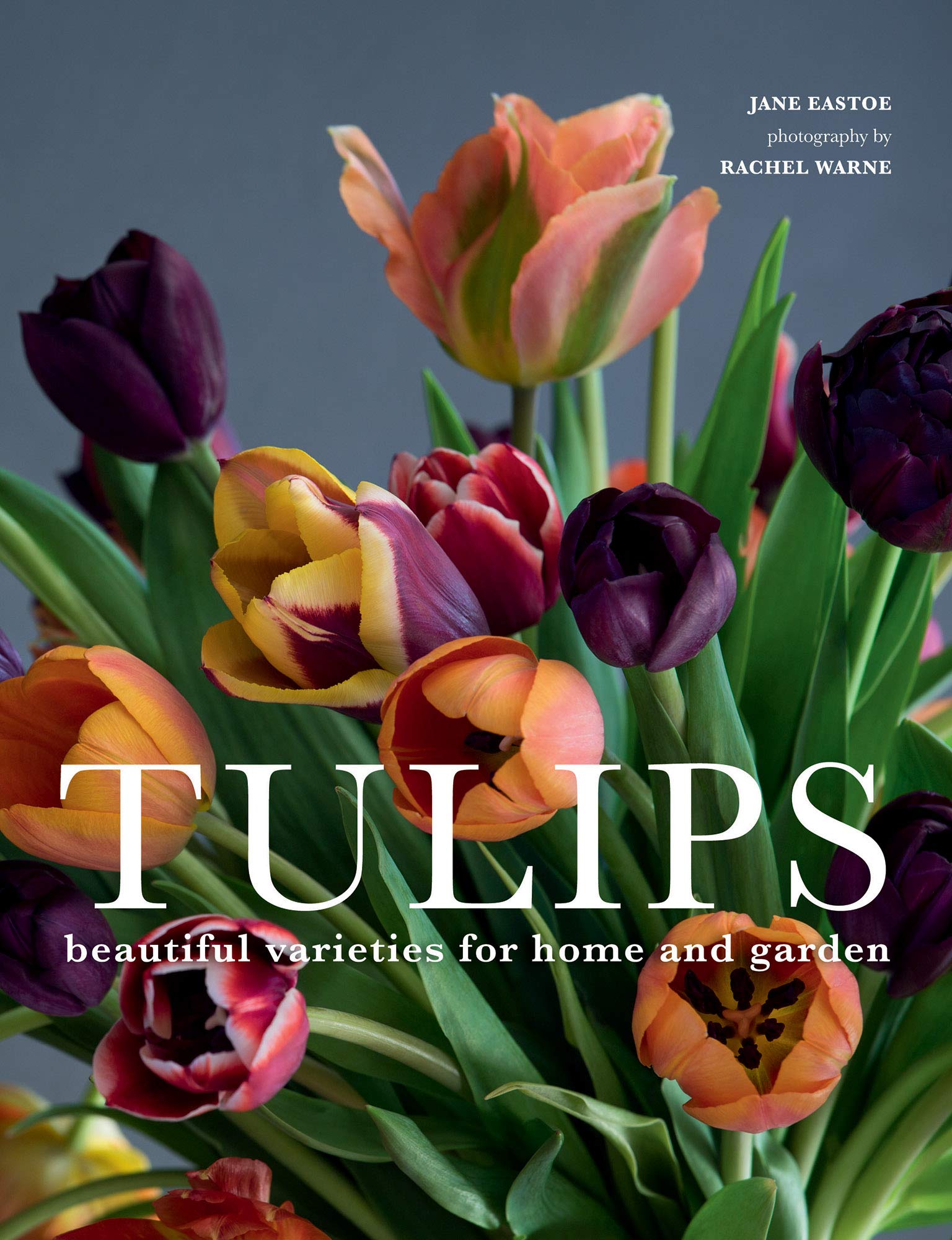 Tulip Bulbs for Planting - 10 Stunning Varieties for Home Garden, Landscaping & Flower Arrangements | Spring Blooming Perennials for Borders, Beds & Containers