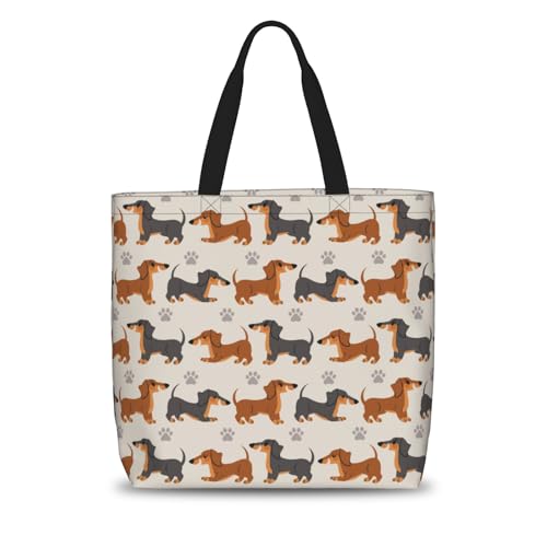 Cute Dachshund Dog