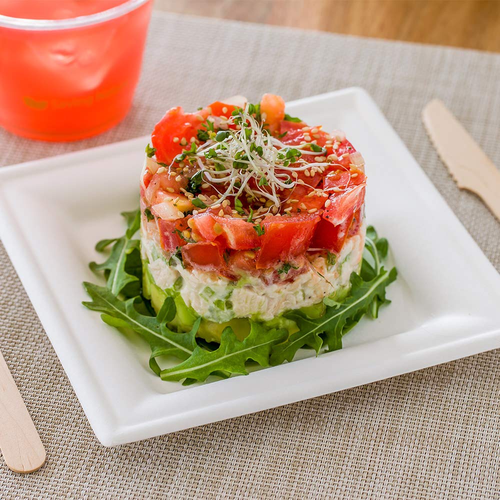 Eco-Friendly 6.3 Inch Square Bagasse Plates - 100 Pack Heavy-Duty White Disposable Plates Made from Sugarcane Fibers | Perfect for Appetizers, Desserts, Parties & Catering Events