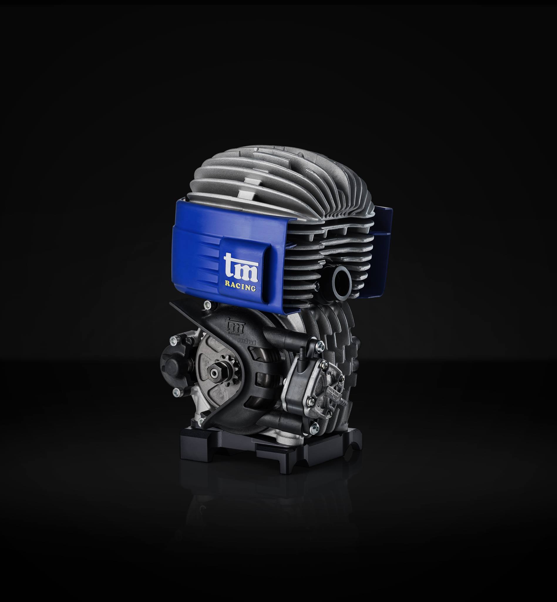 TM 60cc Gasoline Engine - High Performance 2-Stroke Motor for RC Cars, Boats & DIY Projects - Perfect for Hobbyists and Outdoor Power Equipment