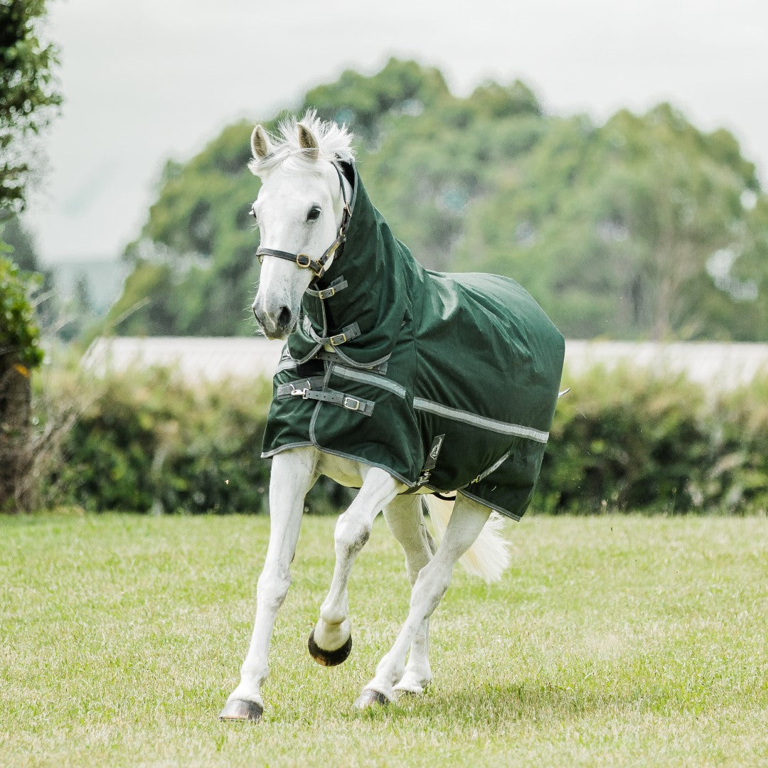 Cavallino Burghley 300gm Combo - Premium Horse Riding Gear Set for Equestrian & Dressage - Perfect for Training, Competitions & Outdoor Riding
