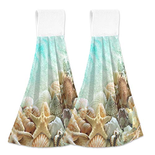 Seashell Conch