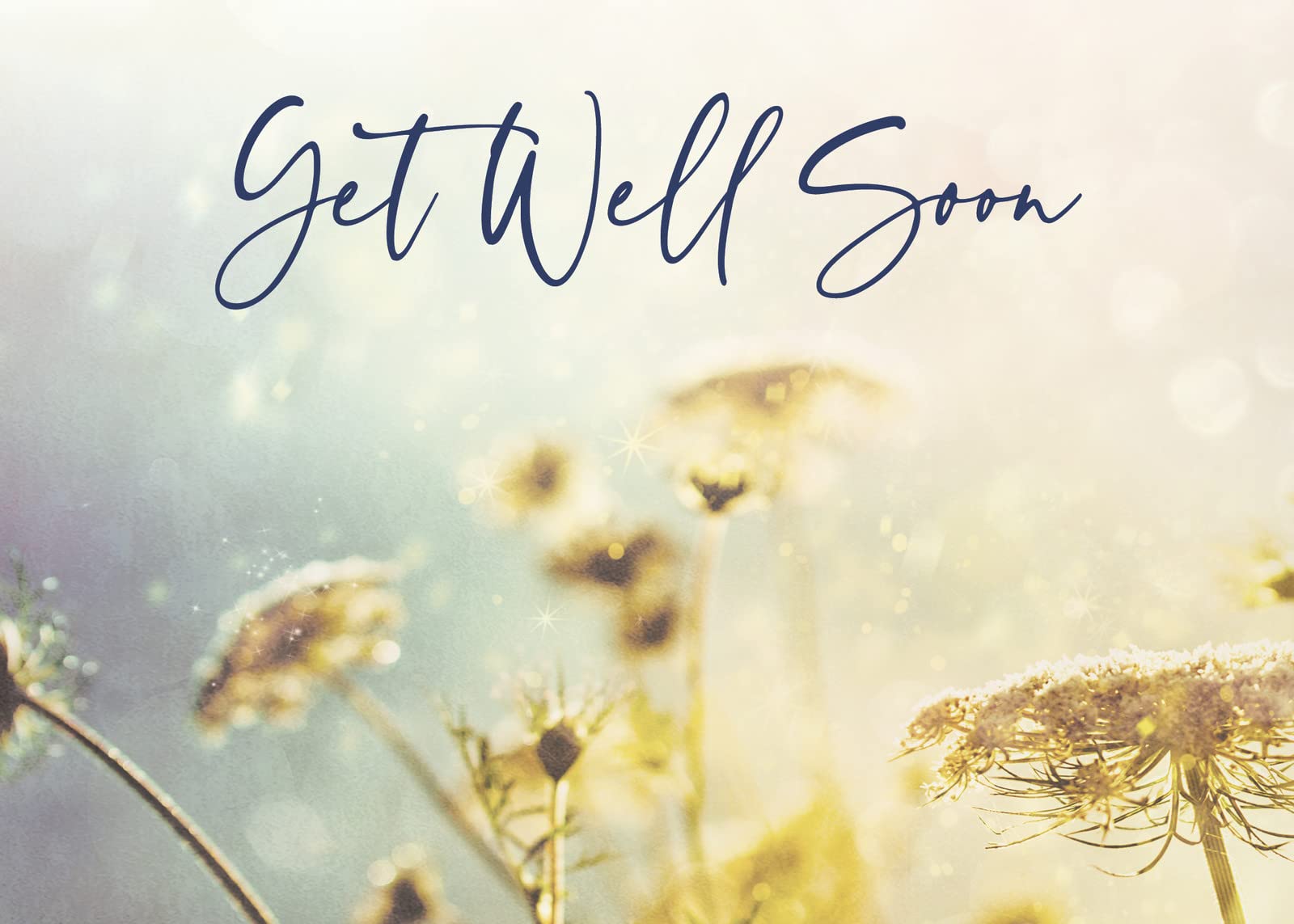 CEO Cards - Sympathy Get Well Greeting Cards (Fields of Blossoms Design), 5x7 Inch Blank Inside Cards, Set of 25 Cards with 26 White Envelopes (GW2002) - Perfect for Hospital Visits, Recovery Gifts & Comforting Messages