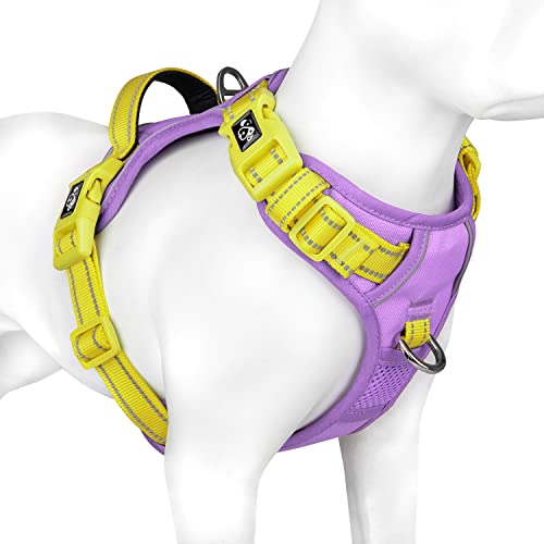 Baby Purple Base & Yellow Straps