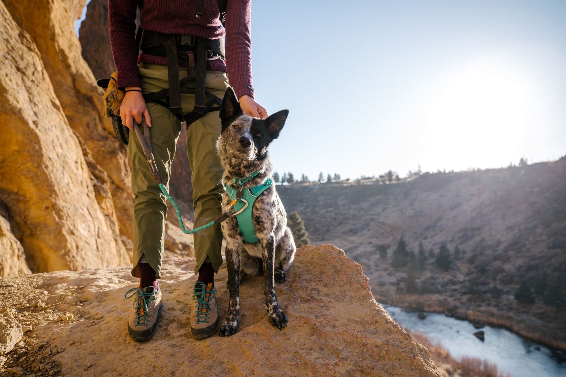 Ruffwear Knot a Collar® Dog Rope Collar - Red Sumac | Adjustable & Durable Pet Collar for Hiking, Running & Outdoor Adventures