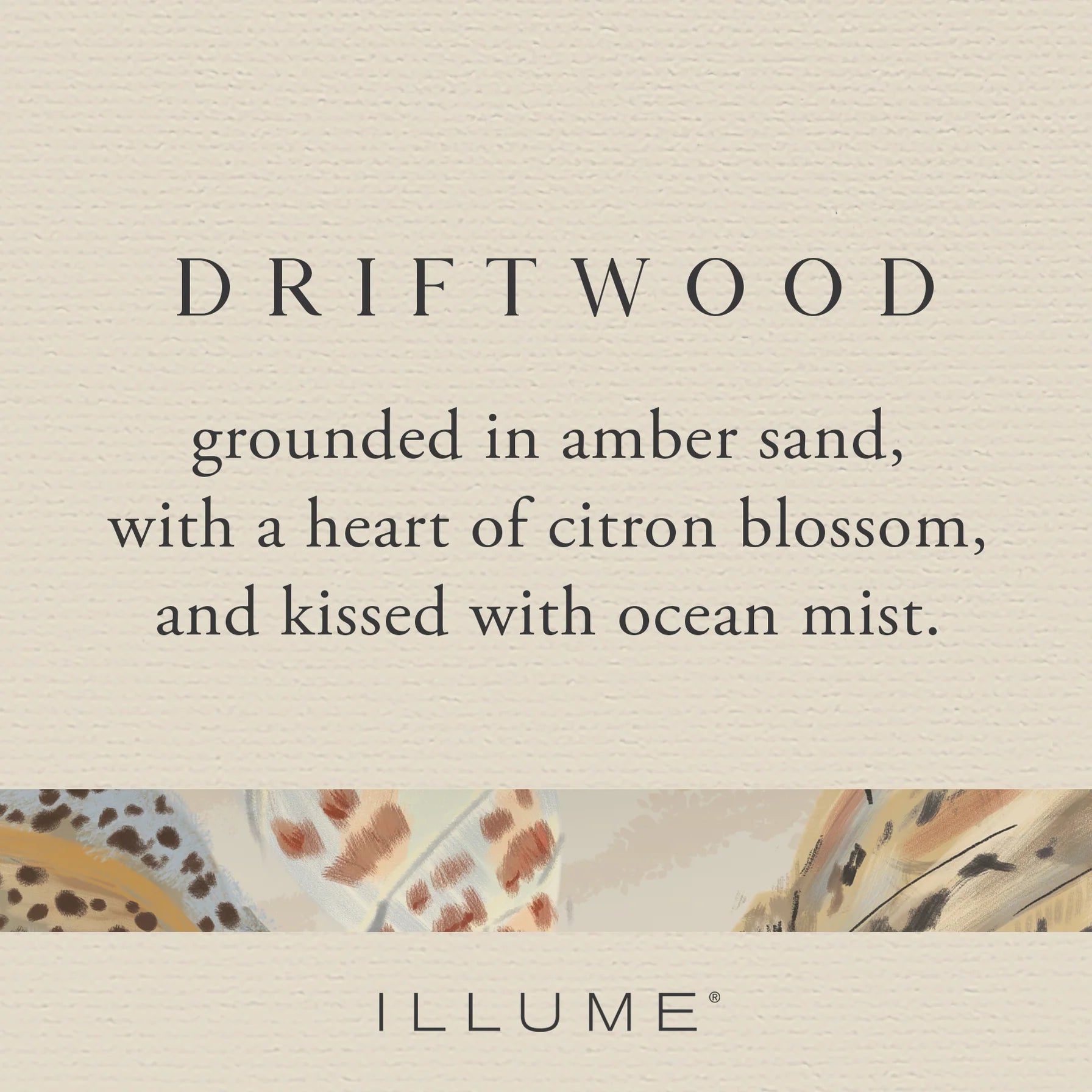 Natural Wood Essential Oil Diffuser for Aromatherapy - Handcrafted Driftwood Reed Diffuser for Home, Office, Spa & Yoga Studio Relaxation