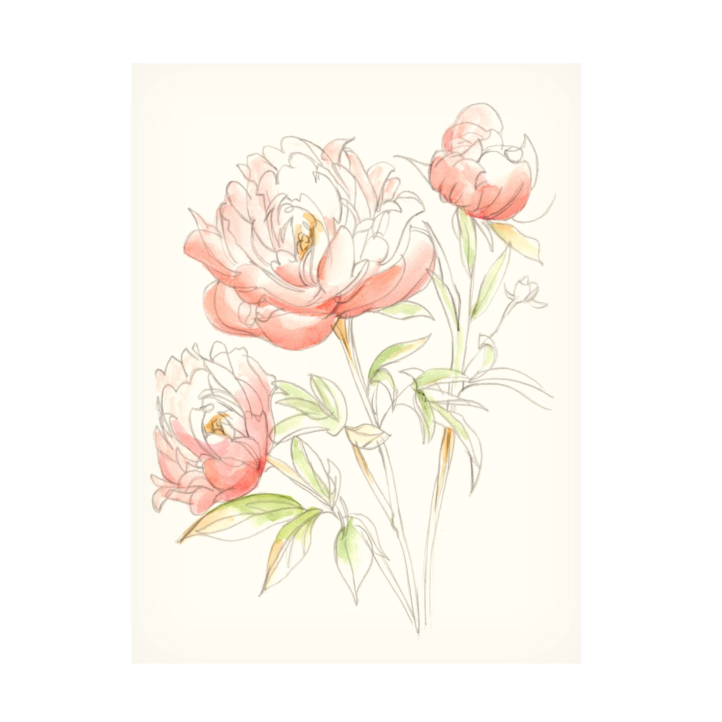 Ethan Harper Watercolor Floral Variety III Canvas Art Print - Handmade Botanical Wall Decor for Living Room, Bedroom & Office | Trademark Fine Art Collection