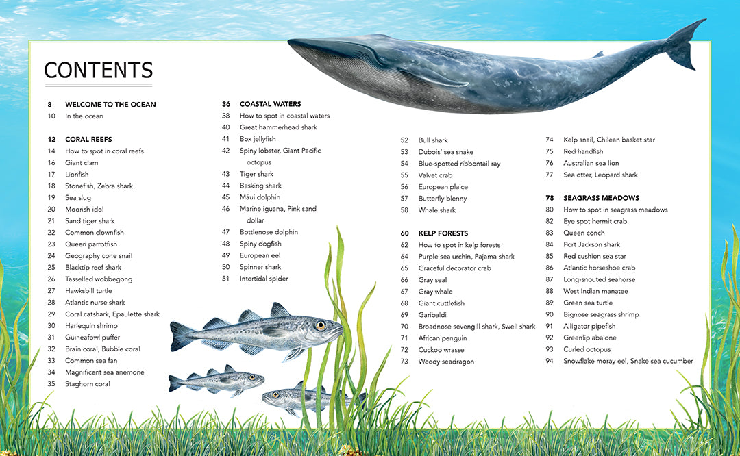 Ocean Creatures Spotter's Guide - Marine Life Identification Book for Kids & Adults - Perfect for Beach Trips, Snorkeling & Ocean Exploration