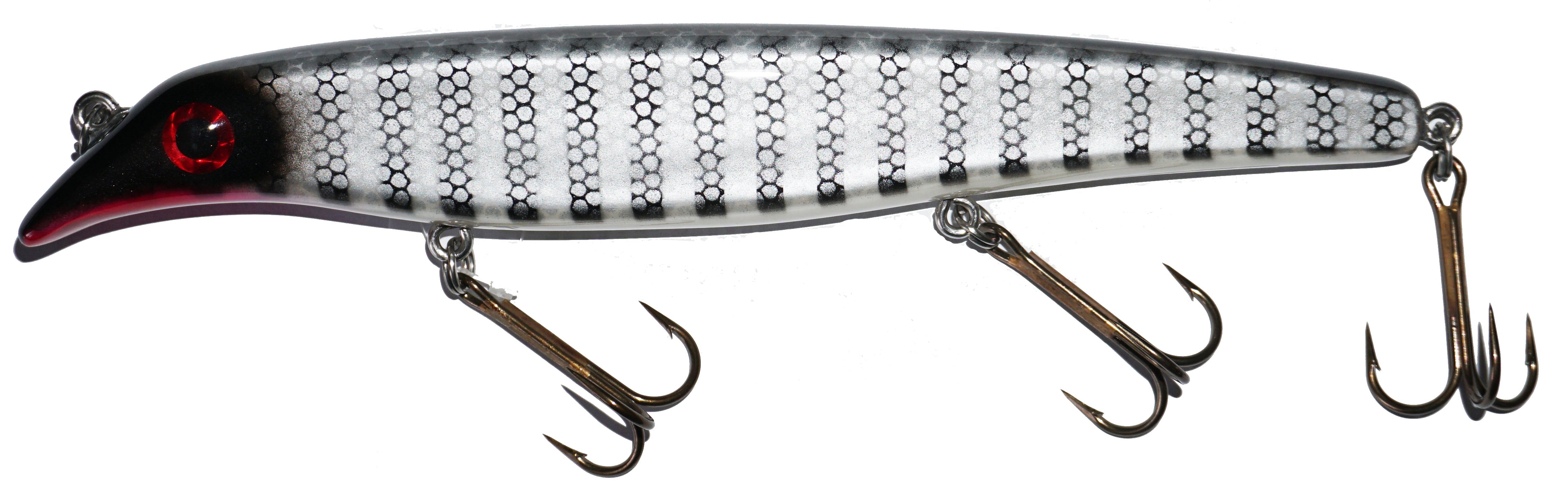 black perch