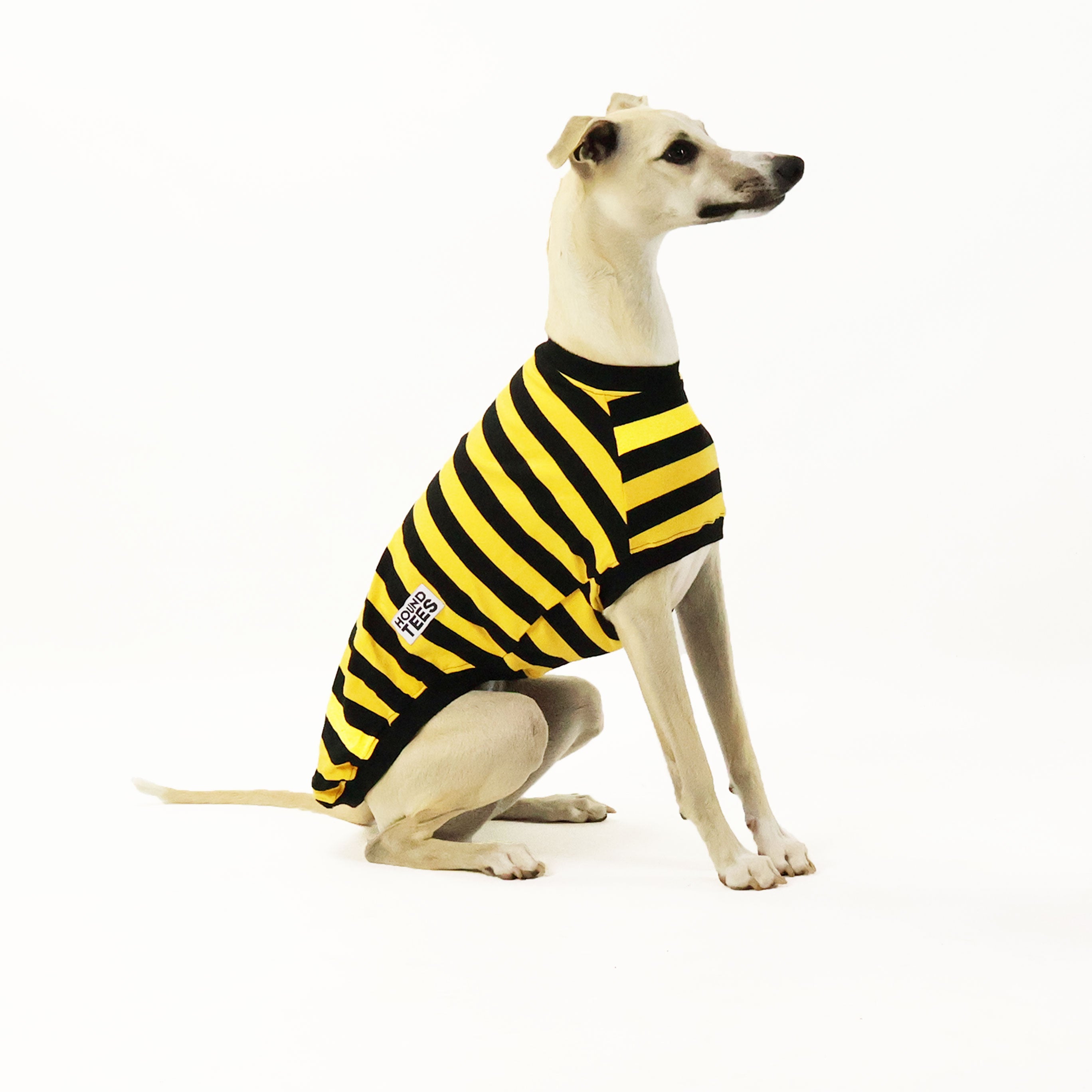 Odlaw Whippet Sleeveless Hound T-Shirt - Comfortable Dog Lover Apparel for Summer, Outdoor Activities & Casual Wear