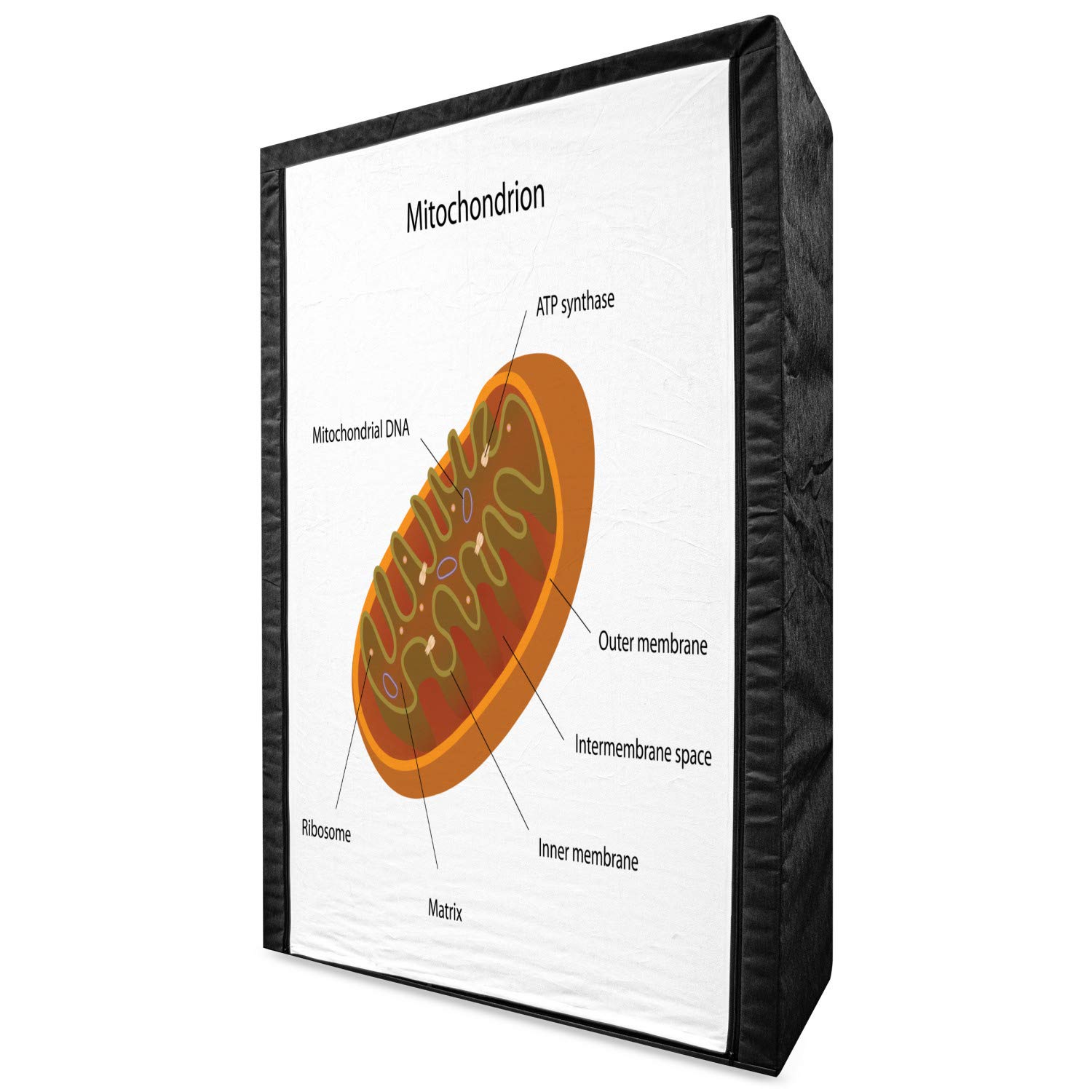 Ambesonne Biology Themed Portable Fabric Wardrobe - Scientific Mitochondrion Organelle Gene Infographic Design, White Dark Orange Paprika - 42.5